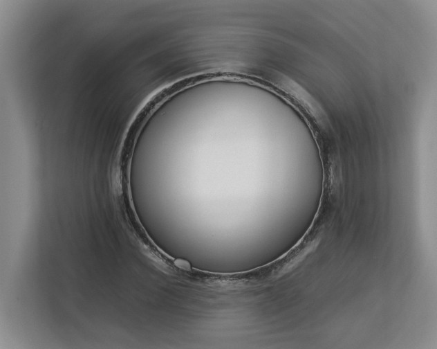 X0000113030924200909031248