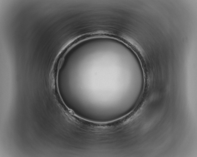 X0000113030925200909031248