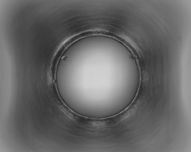 X0000113030927200909031248