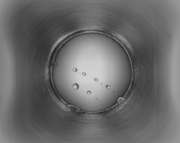 X0000113030928200909031248