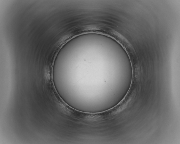 X0000113030929200909031249