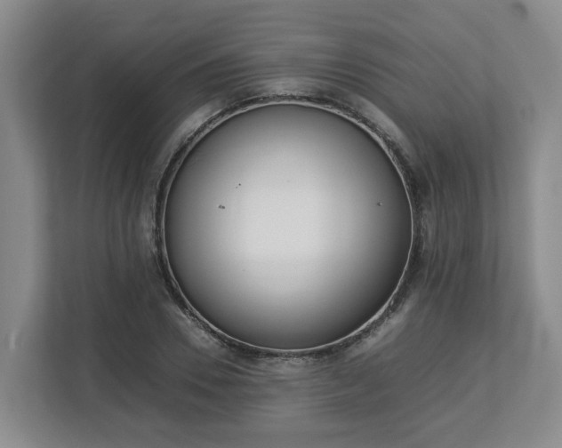 X0000113030930200909031249