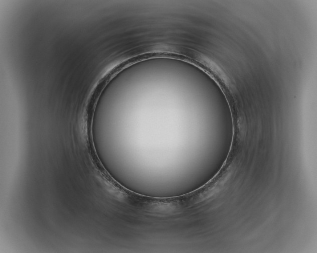 X0000113030931200909031249