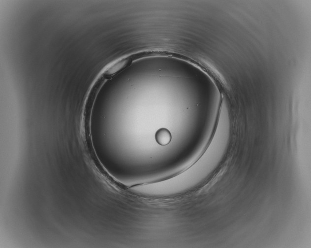 X0000113030932200909031249