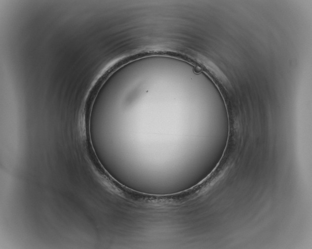 X0000113030934200909031249