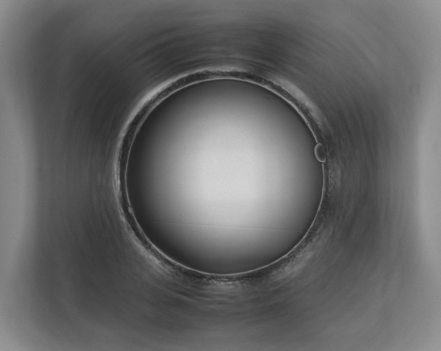 X0000113030935200909031249