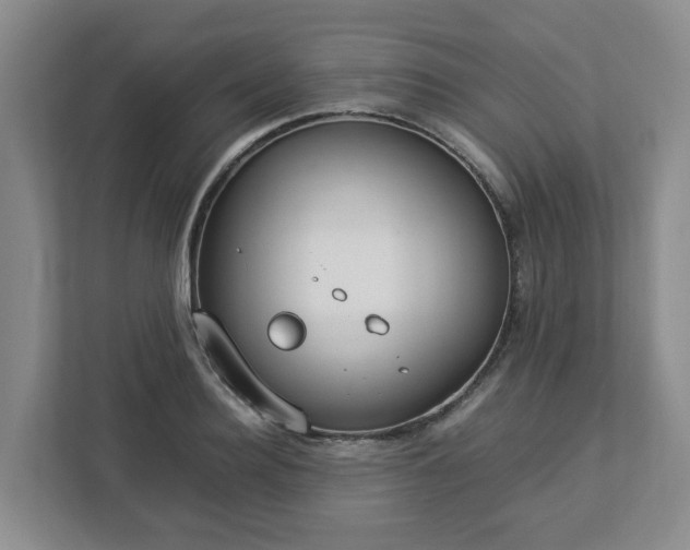 X0000113030940200909031249