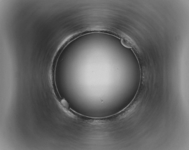 X0000113030942200909031249