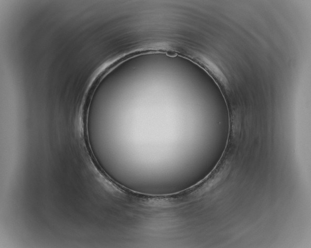 X0000113030944200909031249