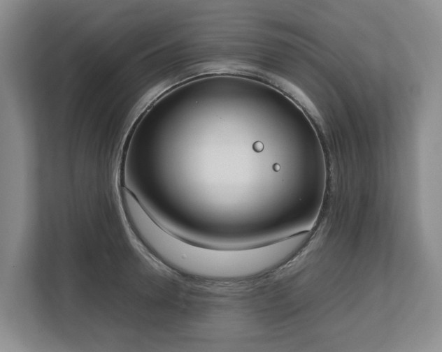 X0000113030946200909031249