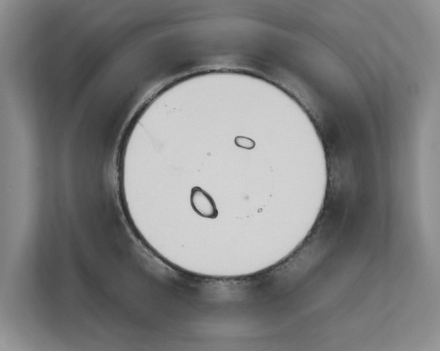 X0000113030950200909031249