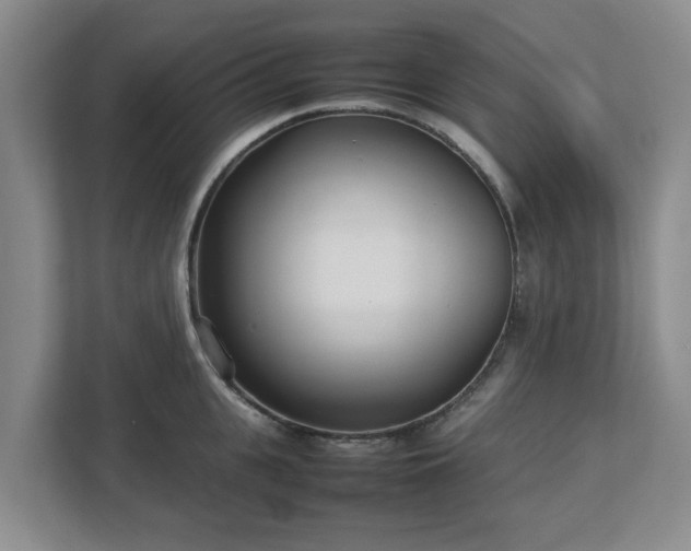 X0000113030951200909031249