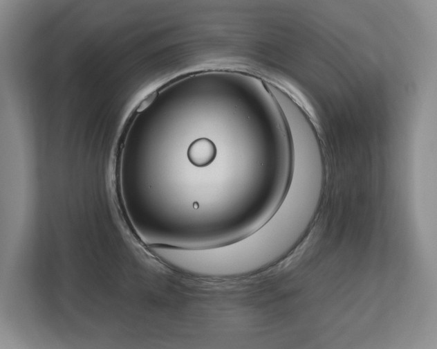 X0000113030952200909031249