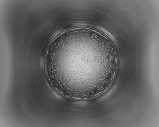 X0000113030953200909031249