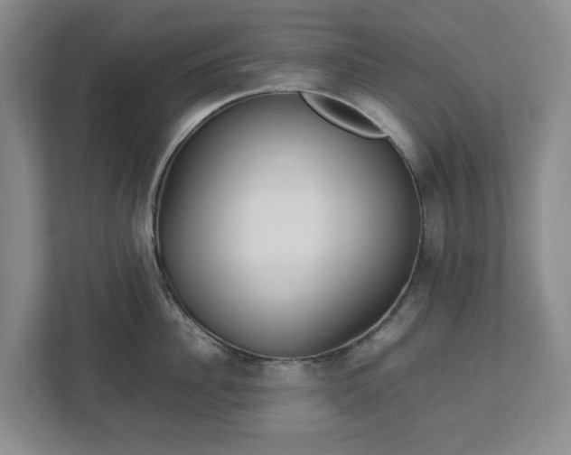 X0000113030956200909031249