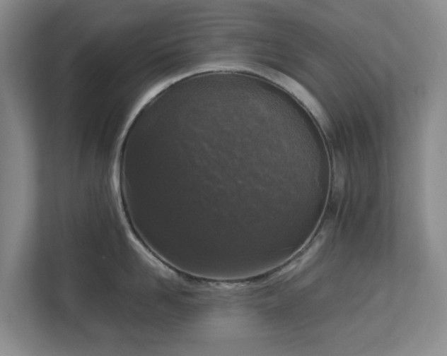 X0000113030958200909031249