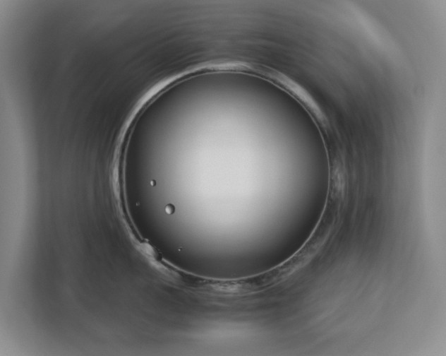 X0000113030959200909031249