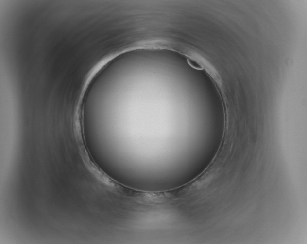 X0000113030960200909031249