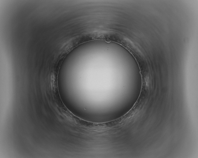 X0000113030964200909031248