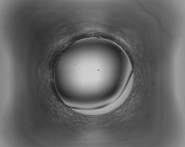 X0000113030965200909031248