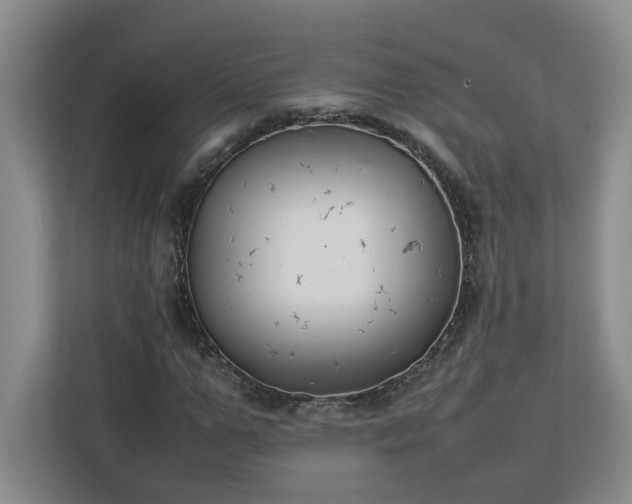 X0000113030967200909031248