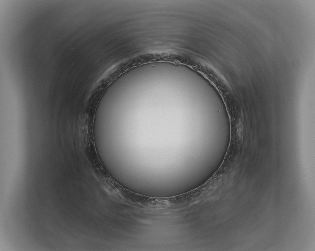 X0000113030968200909031248