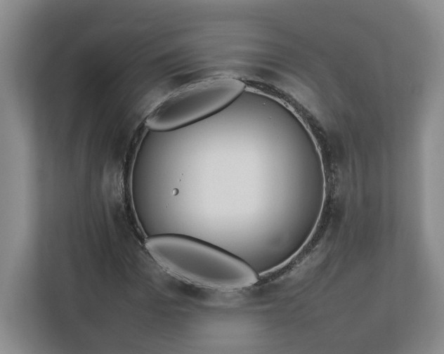 X0000113030969200909031248