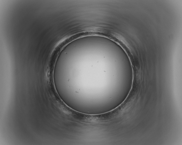 X0000113030971200909031248