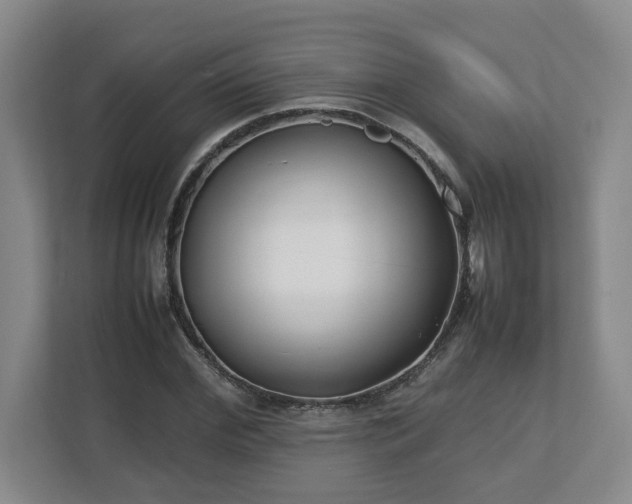 X0000113030972200909031248