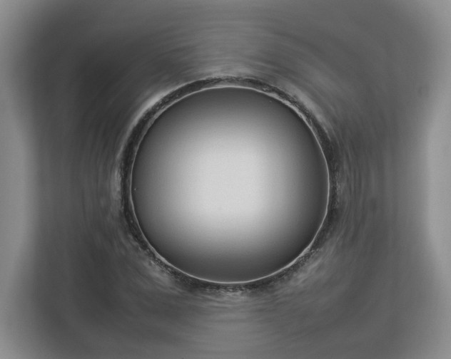 X0000113030975200909031248