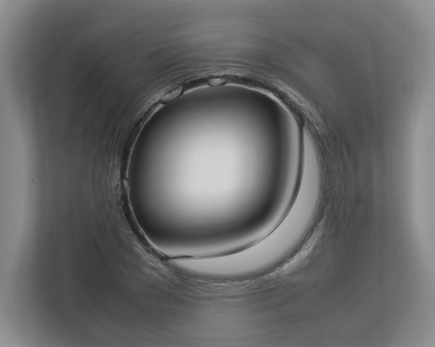 X0000113030977200909031248