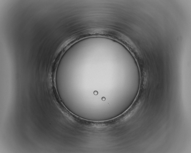 X0000113030978200909031248