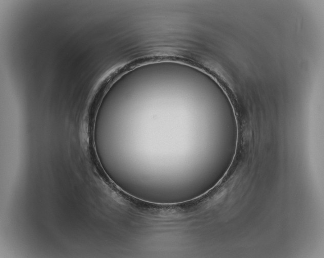 X0000113030979200909031248