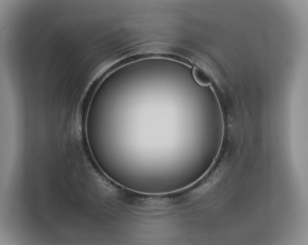 X0000113030981200909031248