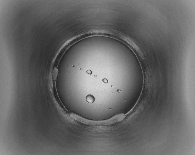 X0000113030984200909031248