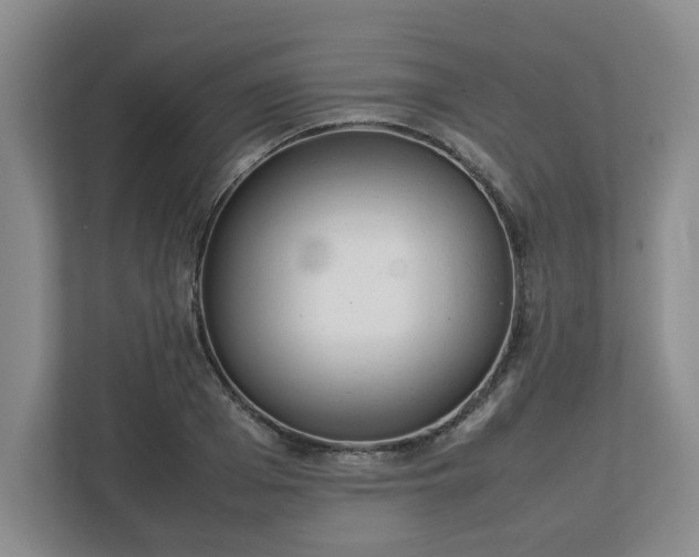 X0000113030985200909031248