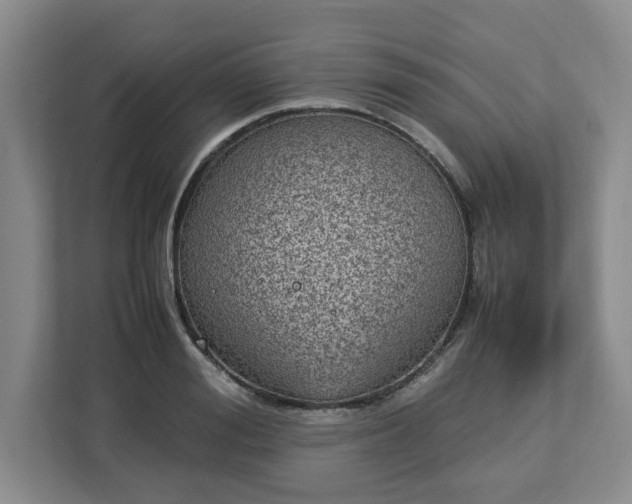 X0000113030988200909031248