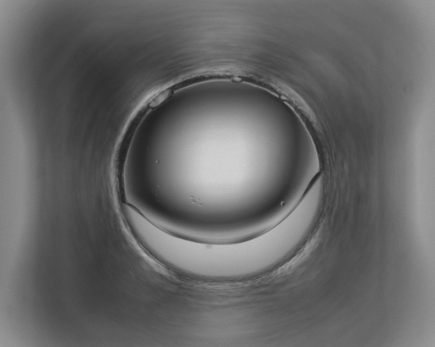 X0000113030989200909031248