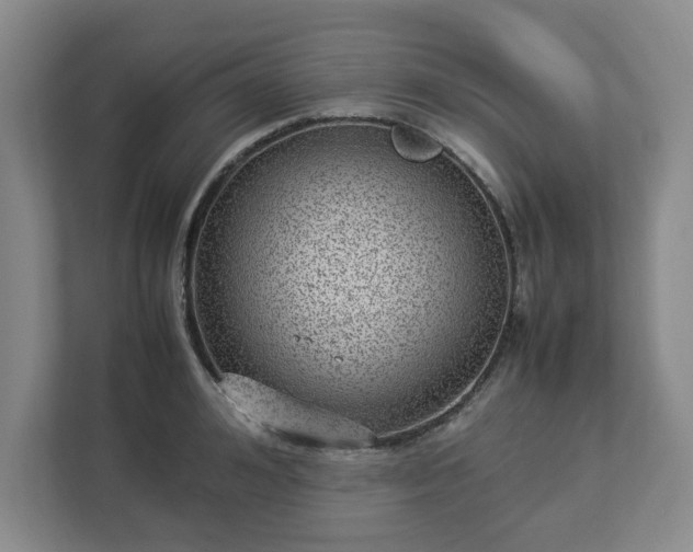 X0000113030992200909031248