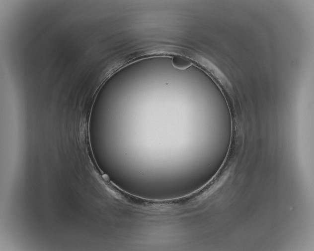 X0000113030993200909031248