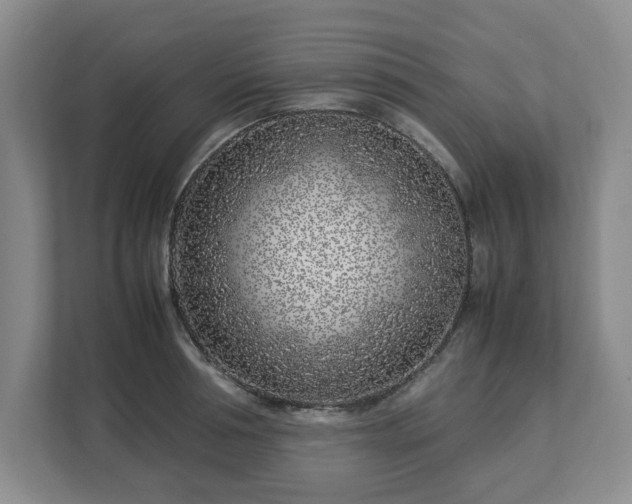 X0000113030994200909031248