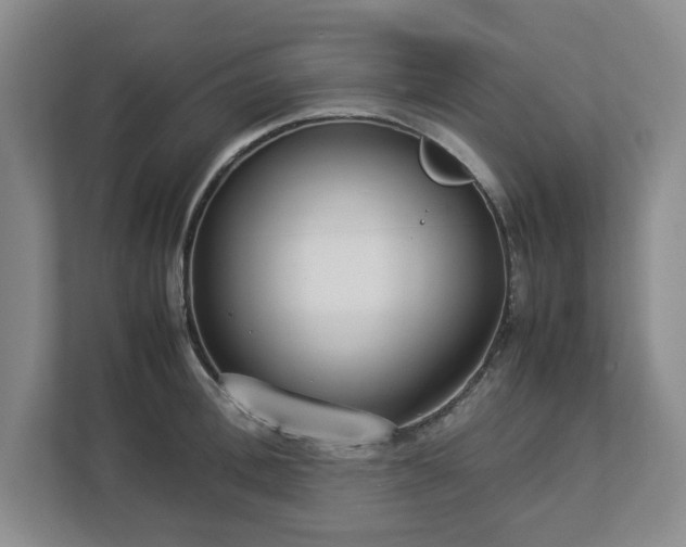 X0000113030996200909031248