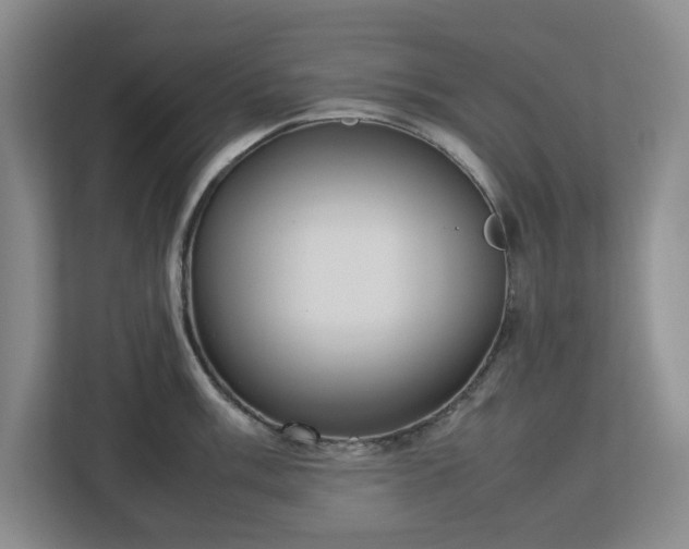 X0000113031003200909031248