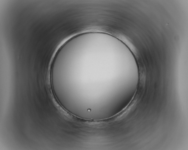 X0000113031004200909031248