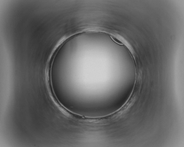 X0000113031005200909031248