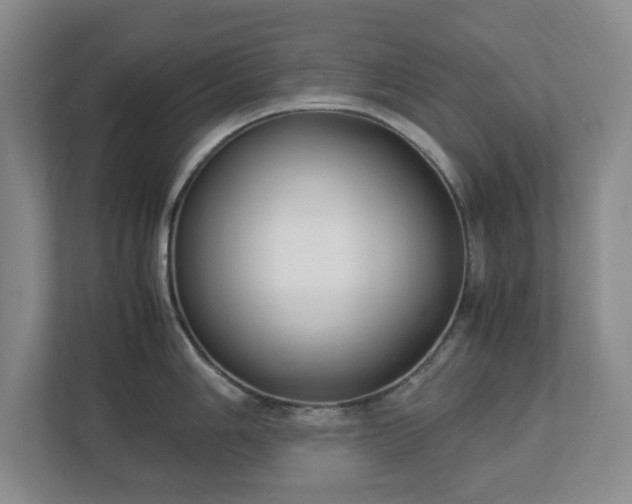 X0000113031006200909031248