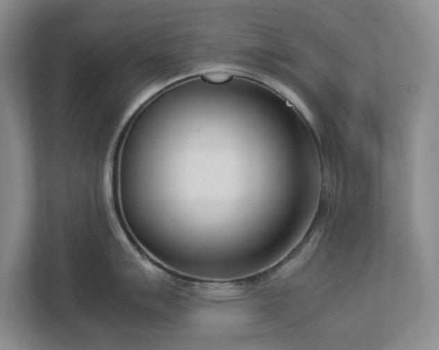 X0000113031007200909031248