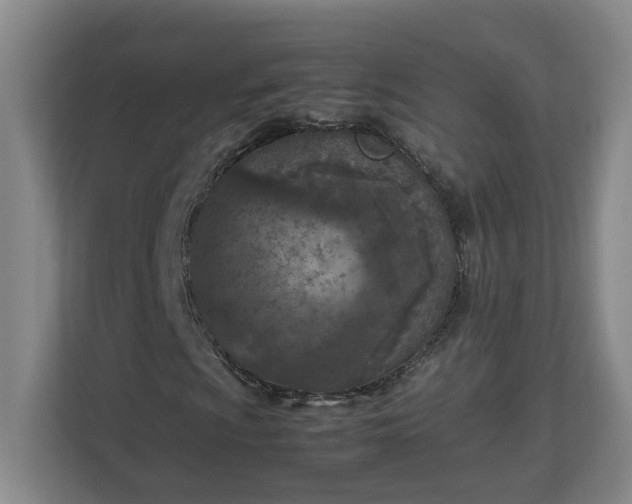 X0000113031009200909031247