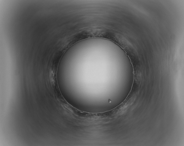 X0000113031010200909031247