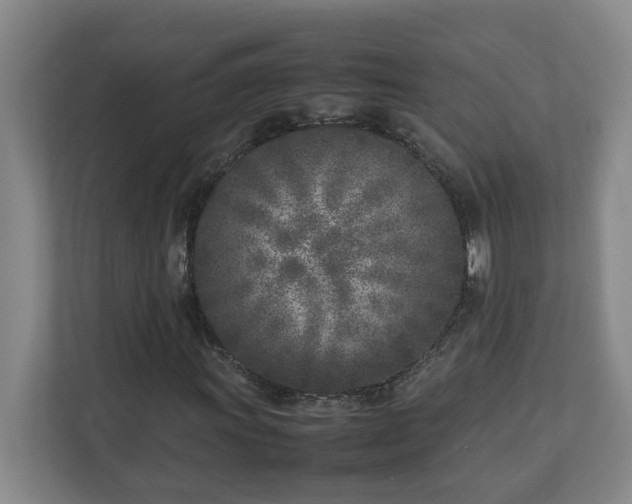 X0000113031011200909031247